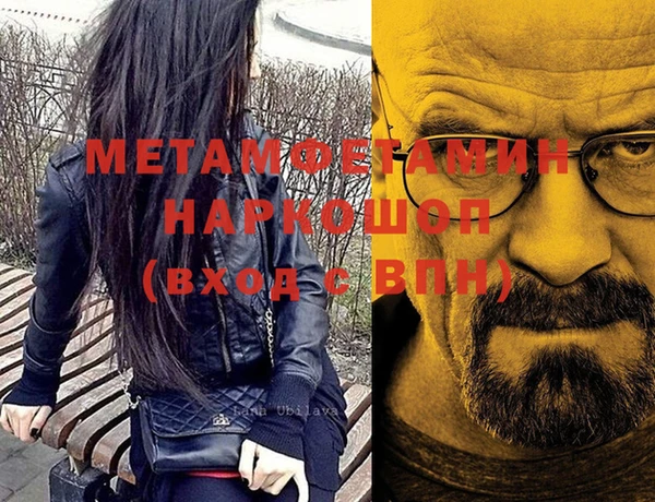 шишки Корсаков