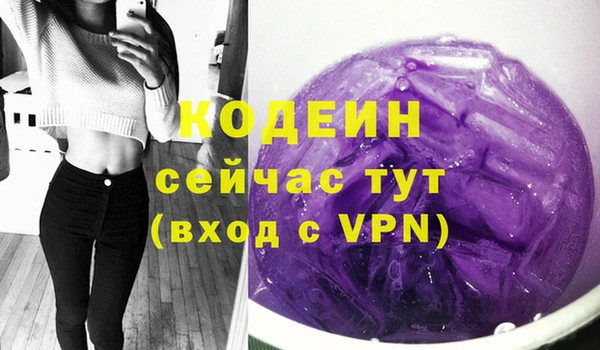 шишки Корсаков