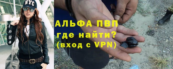 шишки Корсаков
