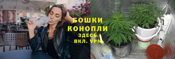 эйфоретик Козловка
