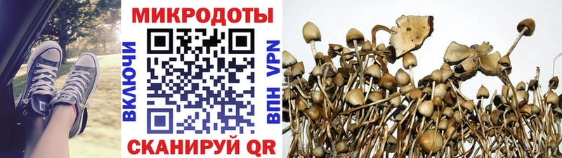 даркнет сайт  Катав-Ивановск  Галлюциногенные грибы MAGIC MUSHROOMS 